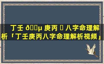 丁壬 🐵 庚丙 ☘ 八字命理解析「丁壬庚丙八字命理解析视频」